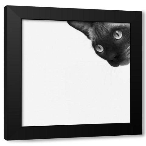 Be Brave Black Modern Wood Framed Art Print with Double Matting by Bertelli, Jon