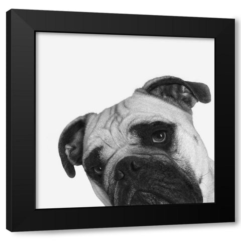 QuÃ© Pasa? Black Modern Wood Framed Art Print with Double Matting by Bertelli, Jon
