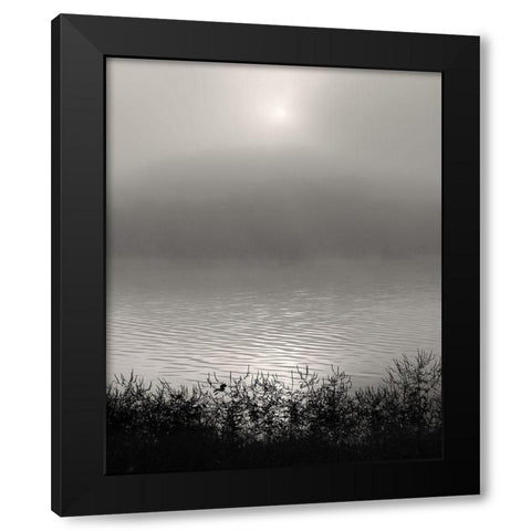 Monochrome Sunrise Black Modern Wood Framed Art Print with Double Matting by Bell, Nicholas