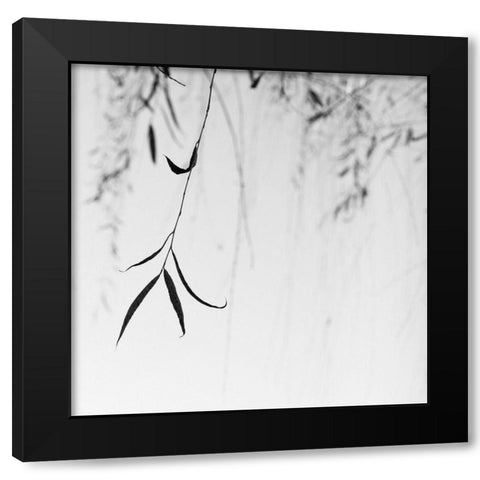 Willow Print No. 1 Black Modern Wood Framed Art Print with Double Matting by Bell, Nicholas