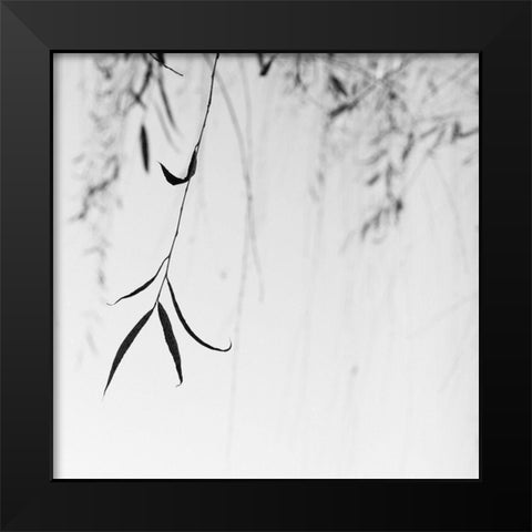 Willow Print No. 1 Black Modern Wood Framed Art Print by Bell, Nicholas