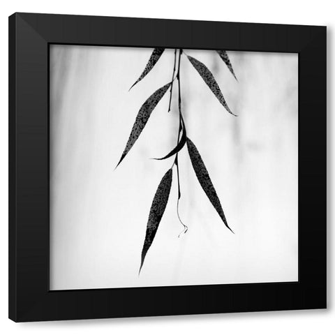 Willow Print No. 2 Black Modern Wood Framed Art Print by Bell, Nicholas