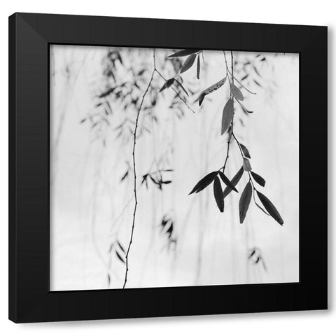 Willow Print No. 3 Black Modern Wood Framed Art Print by Bell, Nicholas
