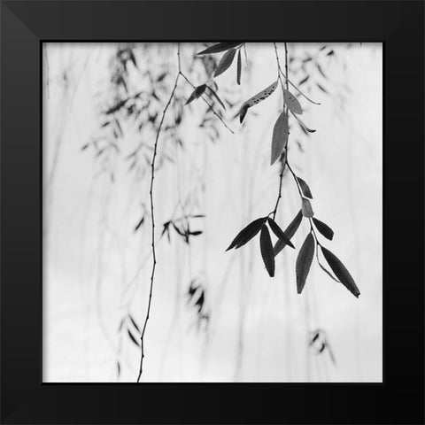 Willow Print No. 3 Black Modern Wood Framed Art Print by Bell, Nicholas