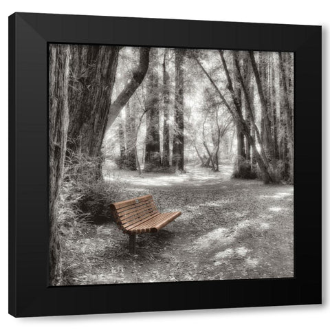 Old Mill Park Black Modern Wood Framed Art Print with Double Matting by Blaustein, Alan
