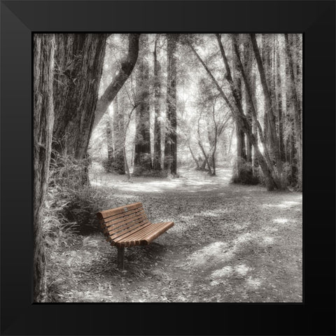 Old Mill Park Black Modern Wood Framed Art Print by Blaustein, Alan