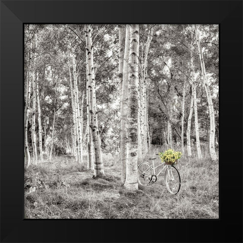 Sunflower Bicycle Ride Black Modern Wood Framed Art Print by Blaustein, Alan