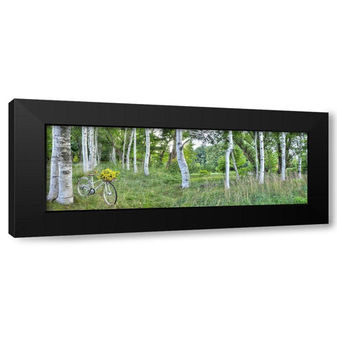 Sunflower Bike Ride No.4 Black Modern Wood Framed Art Print with Double Matting by Blaustein, Alan