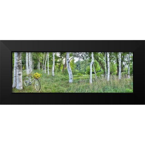 Sunflower Bike Ride No.4 Black Modern Wood Framed Art Print by Blaustein, Alan