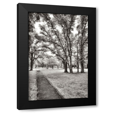 Garden Pathway No.1 Black Modern Wood Framed Art Print by Blaustein, Alan