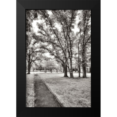 Garden Pathway No.1 Black Modern Wood Framed Art Print by Blaustein, Alan