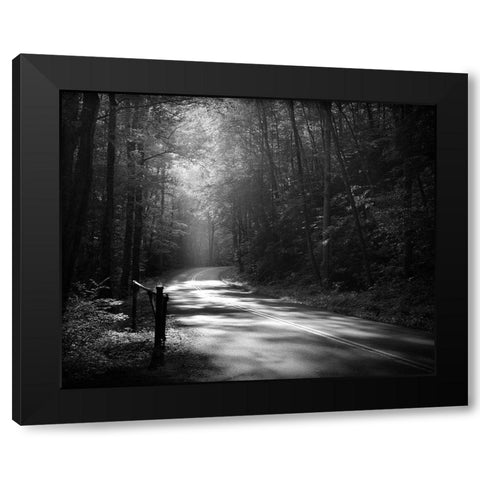 Tremont Road, Smoky Mountains Black Modern Wood Framed Art Print by Bell, Nicholas
