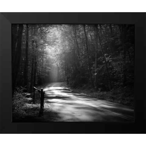 Tremont Road, Smoky Mountains Black Modern Wood Framed Art Print by Bell, Nicholas