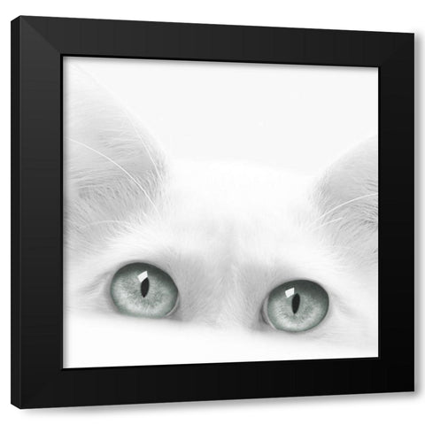 Diva Black Modern Wood Framed Art Print with Double Matting by Bertelli, Jon