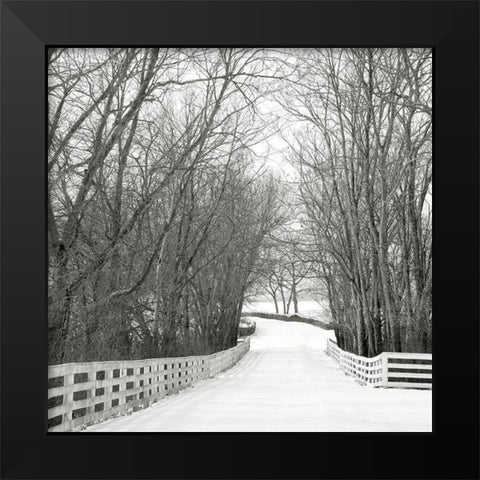 Country Lane in Winter Black Modern Wood Framed Art Print by Bell, Nicholas