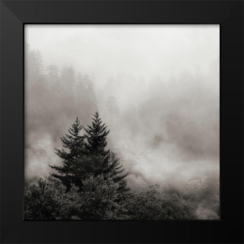 Rising Mist, Smoky Mountains Black Modern Wood Framed Art Print by Bell, Nicholas