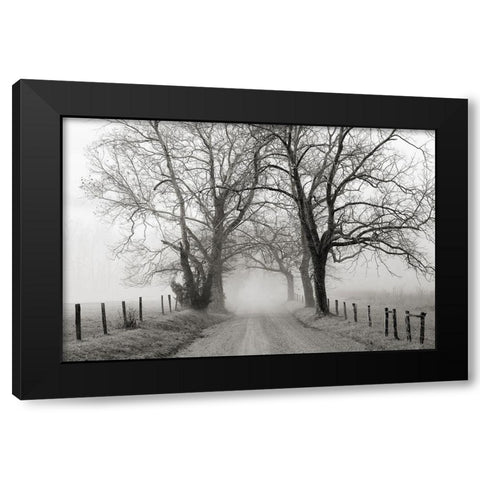 Sparks Lane, Late Autumn Black Modern Wood Framed Art Print by Bell, Nicholas