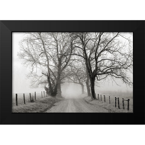 Sparks Lane, Late Autumn Black Modern Wood Framed Art Print by Bell, Nicholas