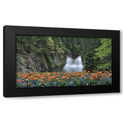 Water Music Black Modern Wood Framed Art Print by Burdick, Chuck