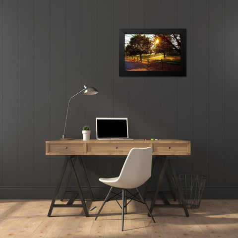 Dreamland Vineyard Black Modern Wood Framed Art Print by Broom, Michael