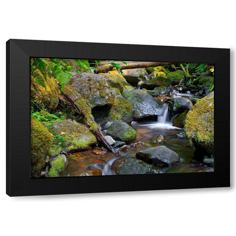 Mossy Stream Black Modern Wood Framed Art Print by Broom, Michael