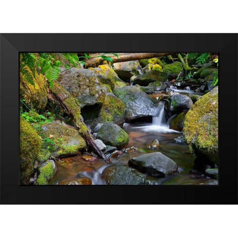 Mossy Stream Black Modern Wood Framed Art Print by Broom, Michael