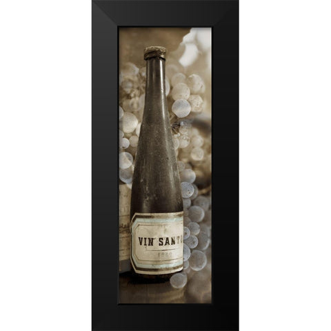 Vin Santo #1 Black Modern Wood Framed Art Print by Blaustein, Alan