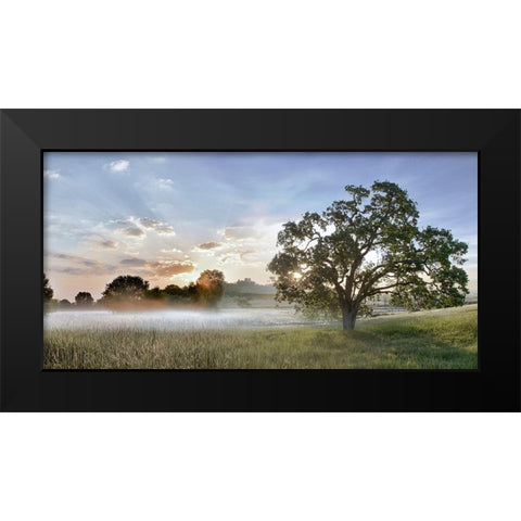 Sonoma Oak 3 Black Modern Wood Framed Art Print by Blaustein, Alan