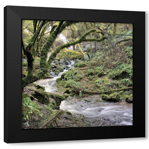 Canyon Falls No. 6 Black Modern Wood Framed Art Print by Blaustein, Alan