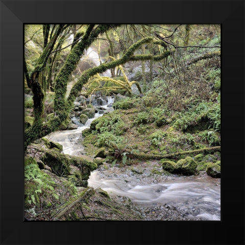 Canyon Falls No. 6 Black Modern Wood Framed Art Print by Blaustein, Alan