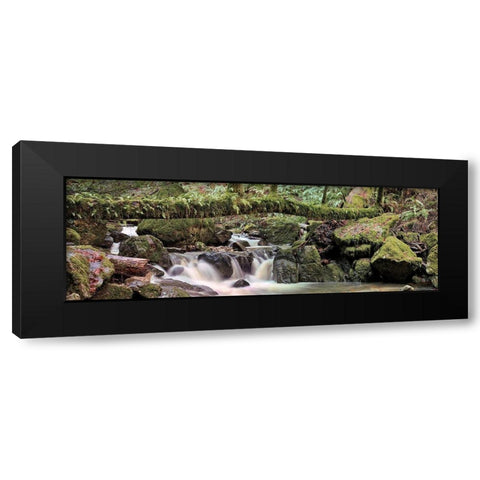 Canyon Falls No. 11 Black Modern Wood Framed Art Print by Blaustein, Alan