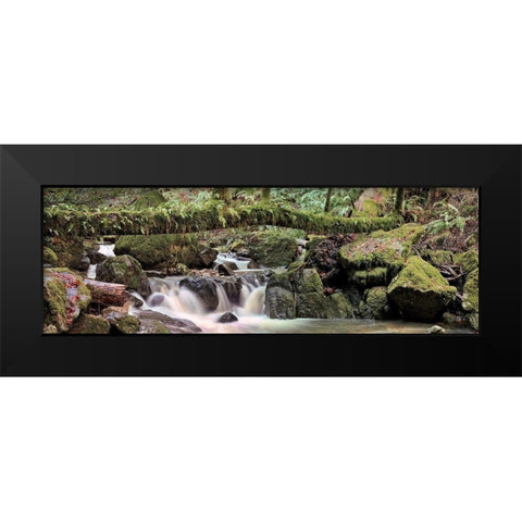 Canyon Falls No. 11 Black Modern Wood Framed Art Print by Blaustein, Alan