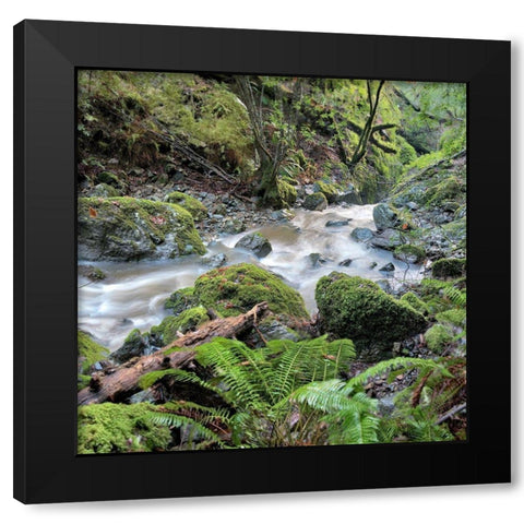 Canyon Falls No. 18 Black Modern Wood Framed Art Print by Blaustein, Alan