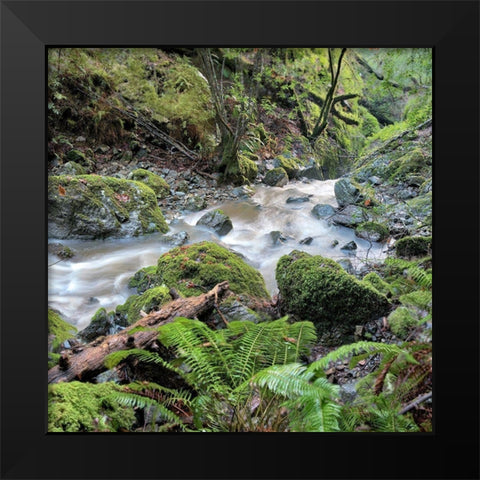 Canyon Falls No. 18 Black Modern Wood Framed Art Print by Blaustein, Alan