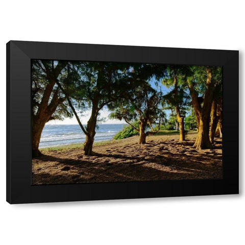 Ancient Family Black Modern Wood Framed Art Print by Burdick, Chuck