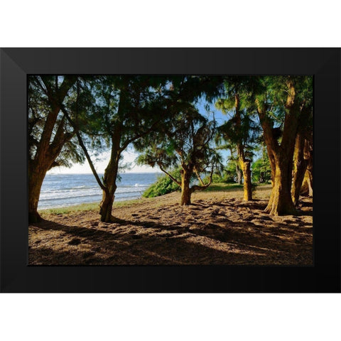 Ancient Family Black Modern Wood Framed Art Print by Burdick, Chuck