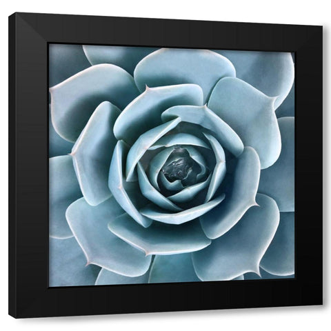 After the Rain Black Modern Wood Framed Art Print with Double Matting by Bell, Jan