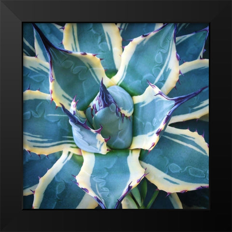 Elegant Thorns Black Modern Wood Framed Art Print by Bell, Jan