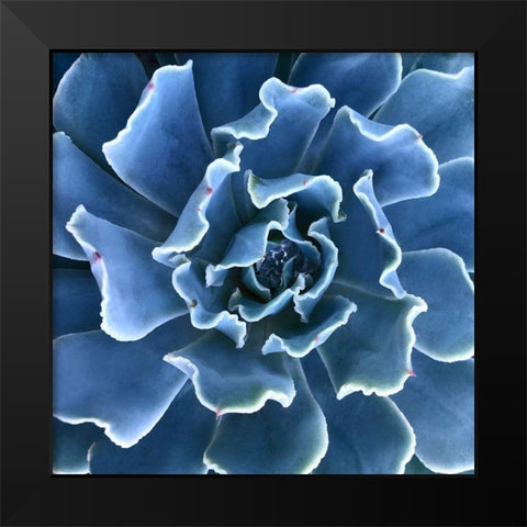 Ruffled Edges Black Modern Wood Framed Art Print by Bell, Jan