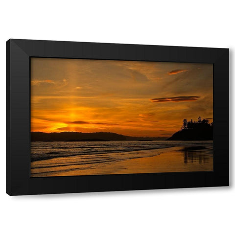 Radiance Black Modern Wood Framed Art Print by Burdick, Chuck