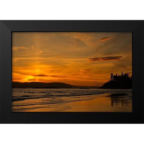 Radiance Black Modern Wood Framed Art Print by Burdick, Chuck