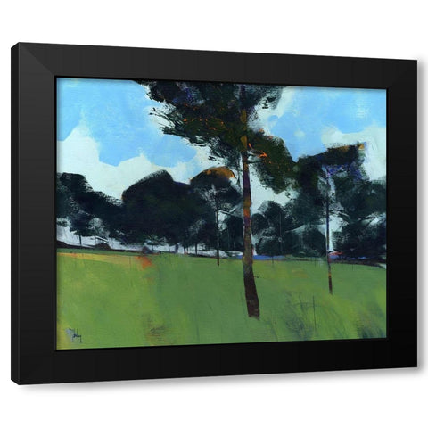Moorland Pines Black Modern Wood Framed Art Print with Double Matting by Bailey, Paul
