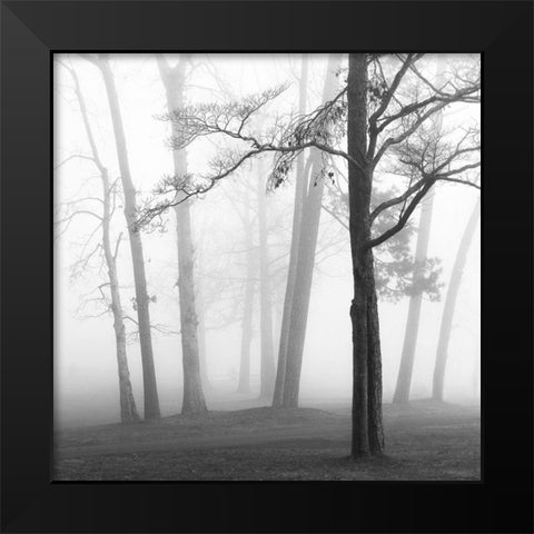 Ethereal Trees Black Modern Wood Framed Art Print by Bell, Nicholas