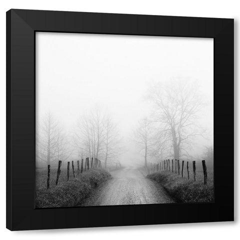 Sparks Lane in Fog Black Modern Wood Framed Art Print with Double Matting by Bell, Nicholas