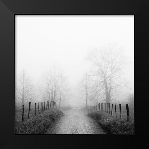 Sparks Lane in Fog Black Modern Wood Framed Art Print by Bell, Nicholas