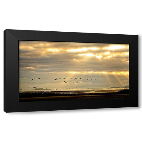 Sunrise on The Estuary Black Modern Wood Framed Art Print with Double Matting by Burdick, Chuck