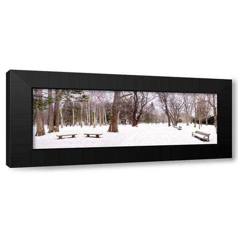 Hokkaido 11 Black Modern Wood Framed Art Print with Double Matting by Blaustein, Alan