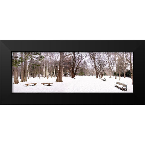 Hokkaido 11 Black Modern Wood Framed Art Print by Blaustein, Alan