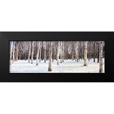 Hokkaido 4 Black Modern Wood Framed Art Print by Blaustein, Alan