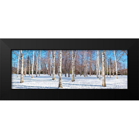 Hokkaido 1 Black Modern Wood Framed Art Print by Blaustein, Alan
